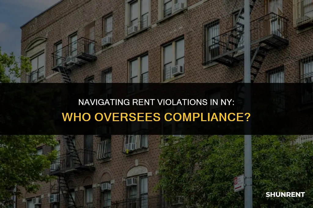 who regulates rent violations in ny state