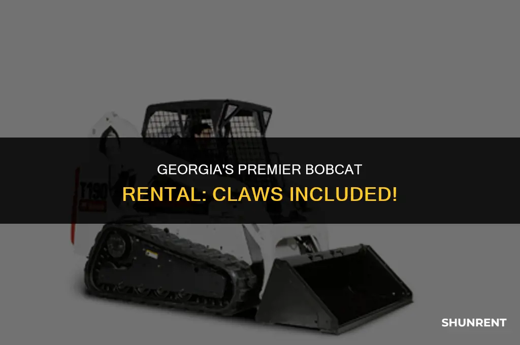 who rent bobcat with claws i georgia