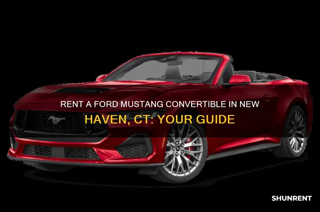 who rent ford mustang convertible new haven ct