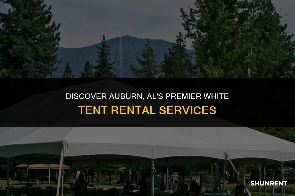 who rent white tents in auburn al