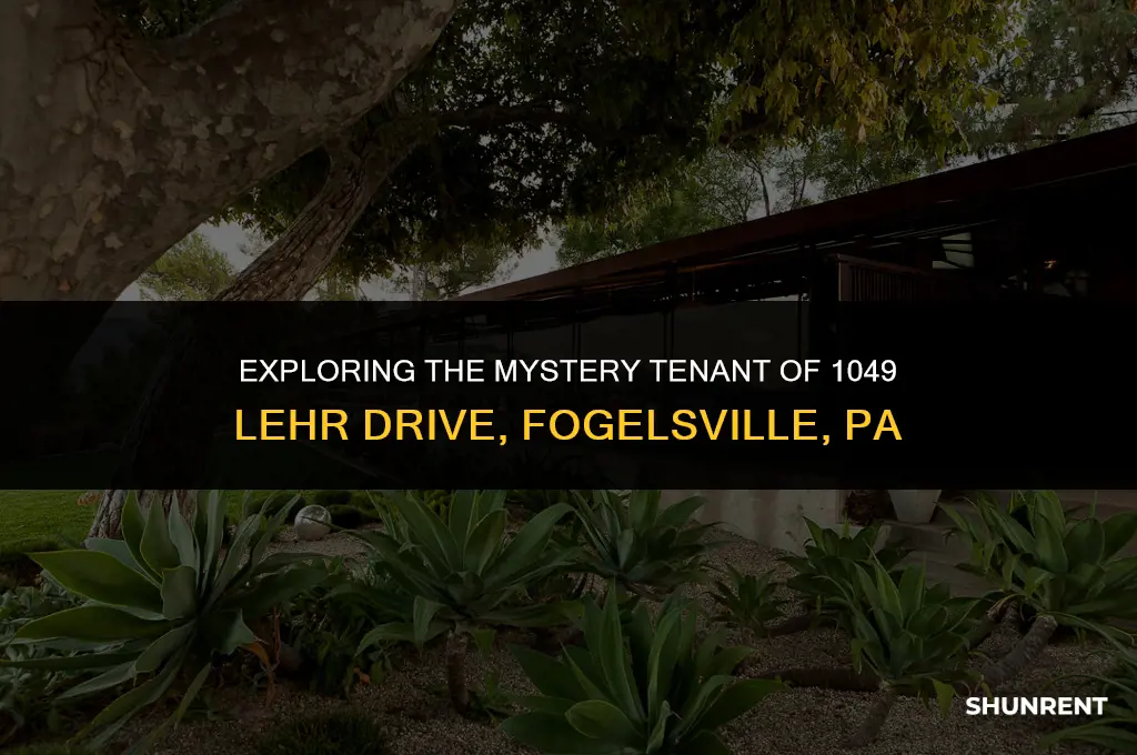 who rents 1049 lehr drive fogelsville pa