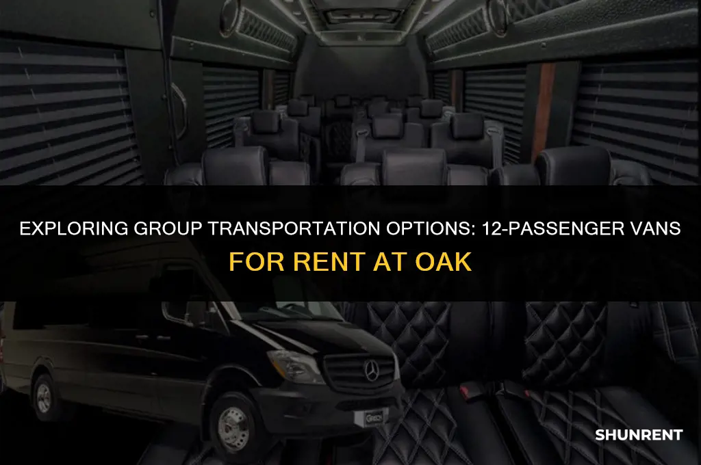 who rents 12 passenger vans at oak
