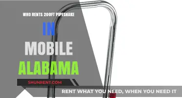 Exploring the Unique Rental Market: 200ft Pipesnake in Mobile, Alabama
