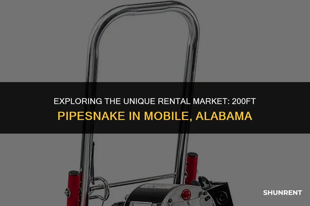 who rents 200ft pipesnake in mobile alabama