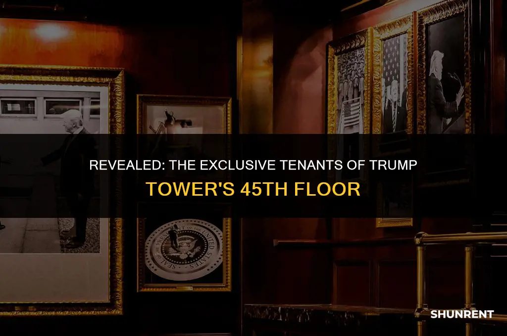who rents 45th floor of trump tower
