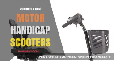 Exploring Mobility: Who Rents Drive Motor Handicap Scooters?