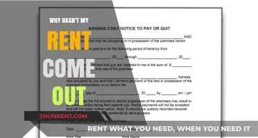 Why Your Rent Payment Didn’t Process: Common Causes and Solutions