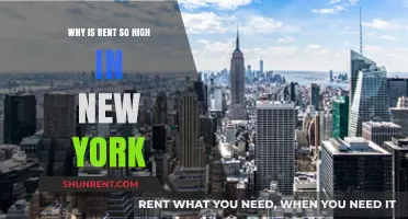 The High Cost of Renting in New York City